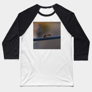 macro ants Baseball T-Shirt